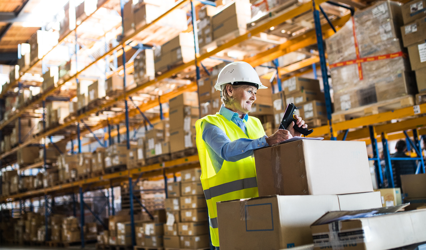 Logistik-Frau-Lager Logistik-Frau-Lager